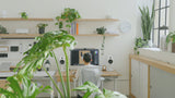 Comment Utiliser le Feng Shui pour Créer un Environnement de Travail Plus Équilibré - Lima Design