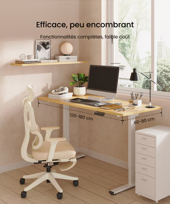E1 PRO - Bureau assis debout de double moteurs — bureau assis-debout électrique, Lima Design Maroc, vue 14